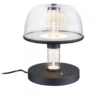 4312-1T Настольная лампа Favourite, Flaska