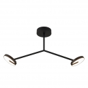 4401-2C Потолочный светильник Favourite, Paritet