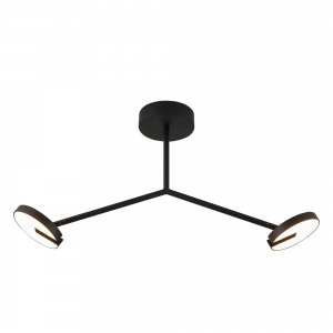 4401-2C Потолочный светильник Favourite, Paritet