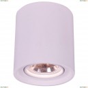 A9262PL-1WH Встраиваемый светильник Arte Lamp, Tubo