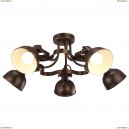 A5216PL-5BR Потолочная люстра Arte Lamp, Martin