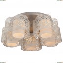 A8348PL-5WH Потолочная люстра Arte Lamp, Helen