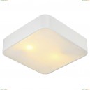 A7210PL-2WH Потолочный светильник Arte Lamp, Cosmopolitan