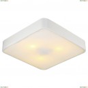 A7210PL-3WH Потолочный светильник Arte Lamp, Cosmopolitan