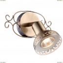 A5219AP-1AB Спот Arte Lamp, Focus