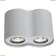 A5633PL-2WH Светильник потолочный ARTE LAMP FALCON