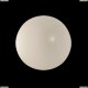 803010 Светильник настенно-потолочный Lightstar Simple Light, 1 плафон, слоновая кость