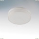 929042 Лампа светодиодная LED bulb GX53 4.2W 2800K mate glass 30000h 929042 Lightstar (Италия)