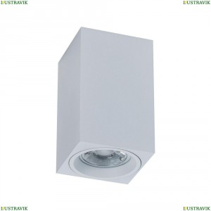 C011CL-01W Потолочный светильник Maytoni (Майтони), Alfa