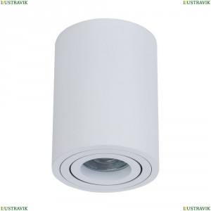 C016CL-01W Потолочный светильник Maytoni (Майтони), Alfa