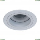 DL025-2-01W Встраиваемый светильник Maytoni, Akron