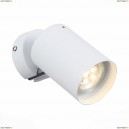 SL597.501.01 Светодиодный спот ST Luce, Fanale