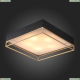 SL1127.422.05 Светильник потолочный Chodo St Luce (СТ Люче), Chodo
