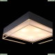 SL1127.422.05 Светильник потолочный Chodo St Luce (СТ Люче), Chodo