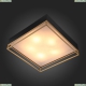 SL1127.422.05 Светильник потолочный Chodo St Luce (СТ Люче), Chodo