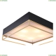 SL1127.422.05 Светильник потолочный Chodo St Luce (СТ Люче), Chodo