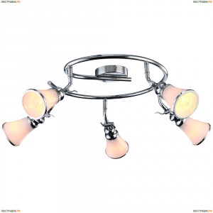 A9231PL-5CC Спот Arte Lamp (Арте Ламп) 81