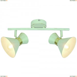 A1406AP-2WG Спот Arte Lamp (Арте Ламп) BALTIMORE