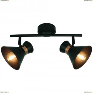 A1406AP-2BK Спот Arte Lamp (Арте Ламп) BALTIMORE