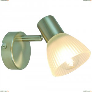 A5062AP-1SS Спот Arte Lamp (Арте Ламп) PARRY