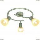 A5062PL-3SS Спот Arte Lamp, Parry