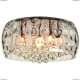 A8146PL-8CC Люстра потолочная хрустальная Arte Lamp (Арте Ламп) 23