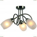 A8616PL-3AB Потолочная люстра Arte Lamp, Mutti