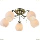 A6373PL-5AB Люстра потолочная Arte Lamp (Арте Ламп) 54