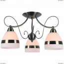 A6192PL-3AB Потолочная люстра Arte Lamp, Noemi