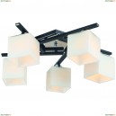 A8165PL-5BK Потолочная люстра Arte Lamp, Visuale