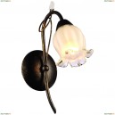 A7449AP-1BR Бра Arte Lamp, Glamore