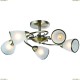 A6056PL-5AB Люстра потолочная Arte Lamp (Арте Ламп) 3