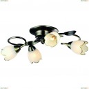 A6061PL-4AB Люстра потолочная Arte Lamp (Арте Ламп) 4