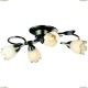 A6061PL-4AB Люстра потолочная Arte Lamp (Арте Ламп) 4