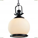 A8025SP-1CK Подвес Arte Lamp (Арте Ламп) NAUTILUS