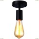 A9184PL-1BK Светильник потолочный Arte Lamp (Арте Ламп) 76