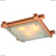 A6460PL-3BR Люстра потолочная Arte Lamp (Арте Ламп) 94