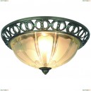 A1306PL-2AB Потолочный светильник Arte Lamp, Porch