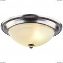 A3011PL-2SS Потолочный светильник Arte Lamp, Alta
