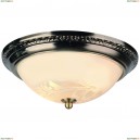 A3009PL-2AB Потолочный светильник Arte Lamp, Alta