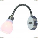 A5271AP-1AB Бра Arte Lamp, Lettura