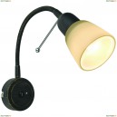 A7009AP-1BR Спот Arte Lamp, Lettura