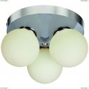 A4445PL-3CC Люстра потолочная Arte Lamp (Арте Ламп) MOON