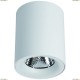 A5112PL-1WH Светильник потолочный Arte Lamp (Арте Ламп) FACILE