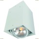 A5936PL-1WH Светильник потолочный Arte Lamp (Арте Ламп) CARDANI