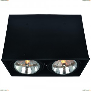 A5936PL-2BK Светильник потолочный Arte Lamp (Арте Ламп) CARDANI