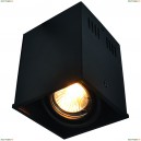 A5942PL-1BK Потолочный светильник Arte Lamp, Cardani Piccolo