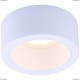 A5553PL-1WH Светильник потолочный Arte Lamp (Арте Ламп) EFFETTO