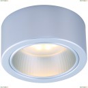 A5553PL-1GY Потолочный светильник Arte Lamp, Effetto