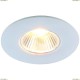 A1425PL-1WH Светильник потолочный Arte Lamp (Арте Ламп) UOVO